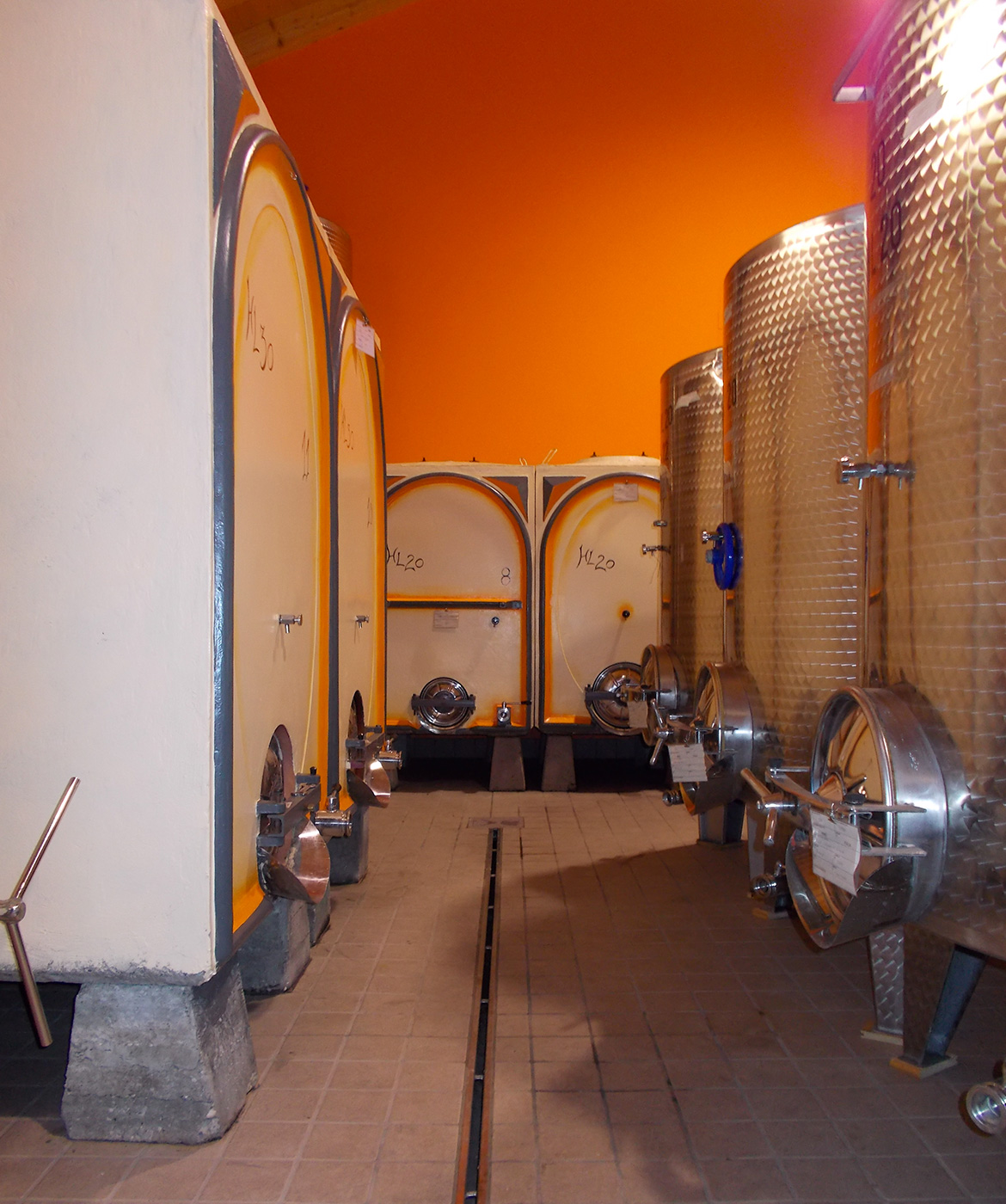 Cantina Azienda Agricola Fausto Ghenda Marano Degustazioni Cantina Azienda Agricola Fausto Ghenda