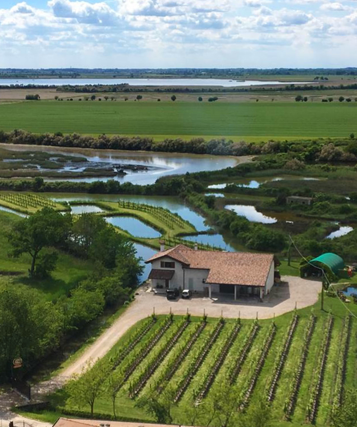 azienda agricola fausto ghenda marano udine azienda agricola fausto ghenda marano